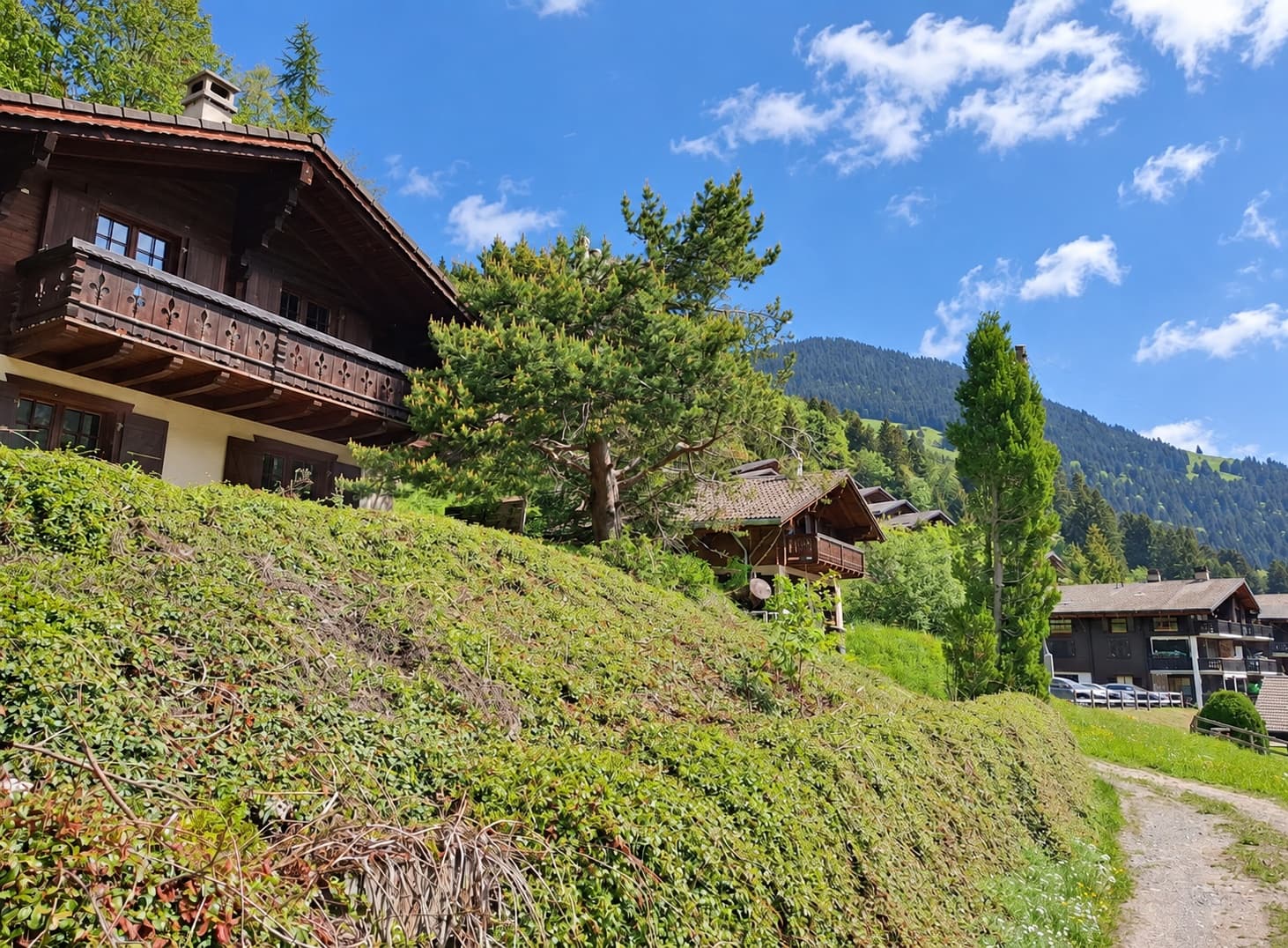 Chalet needing updating — Morgins